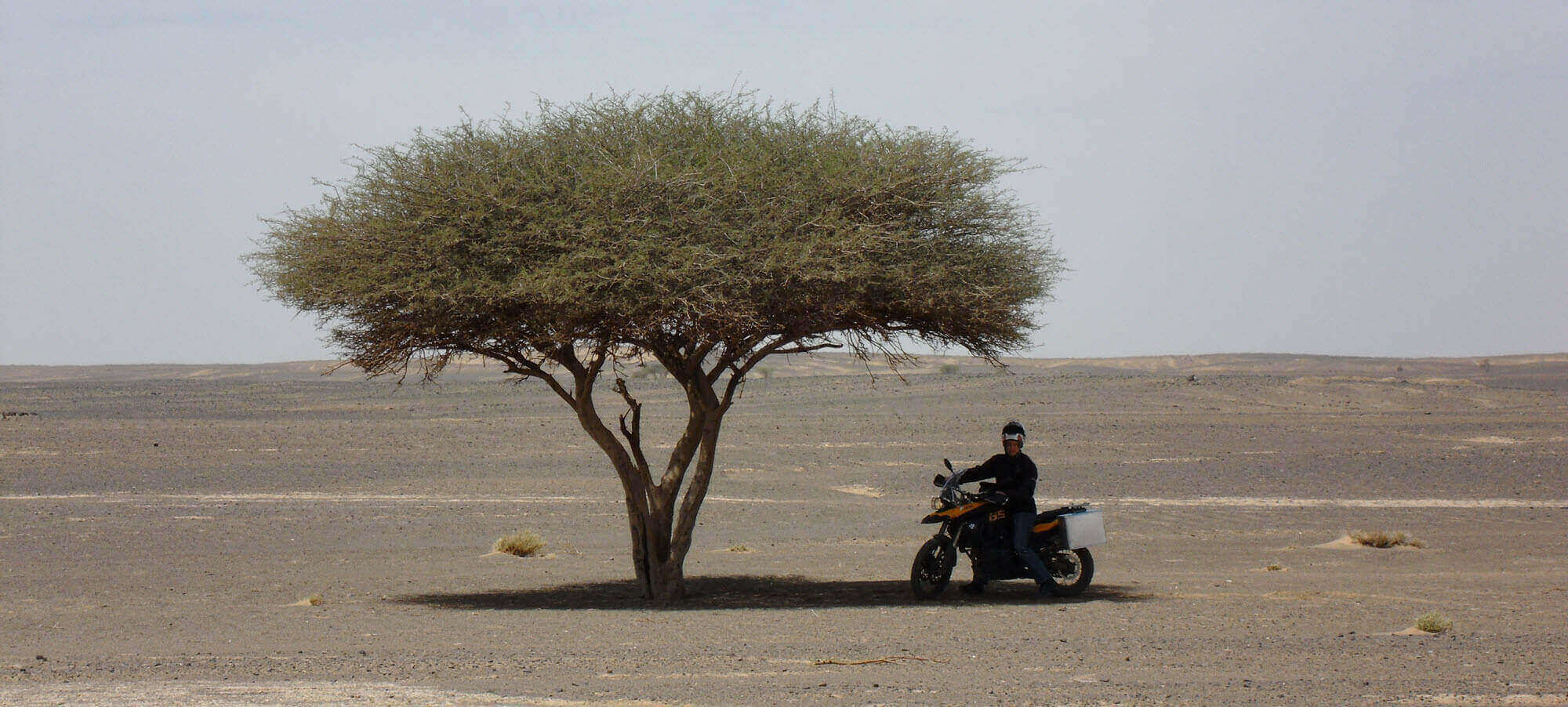 The Best Candidate For Your Business